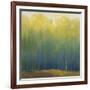 Deep Woods in Summer-Teri Jonas-Framed Giclee Print