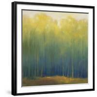 Deep Woods in Summer-Teri Jonas-Framed Giclee Print