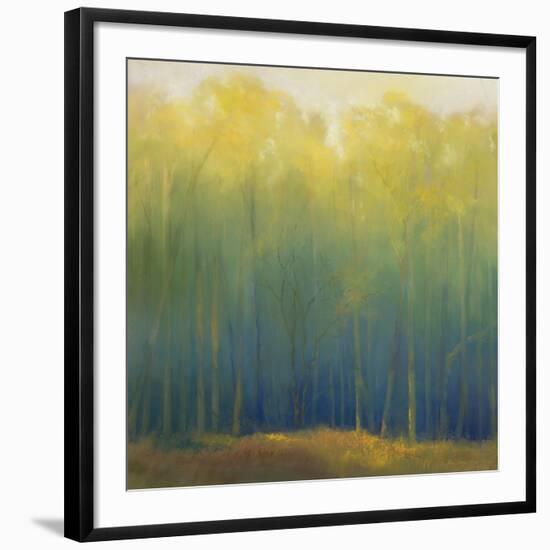 Deep Woods in Summer-Teri Jonas-Framed Giclee Print