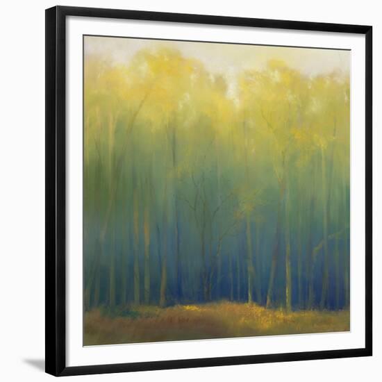 Deep Woods in Summer-Teri Jonas-Framed Giclee Print