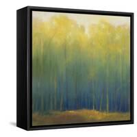 Deep Woods in Summer-Teri Jonas-Framed Stretched Canvas