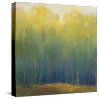 Deep Woods in Summer-Teri Jonas-Stretched Canvas