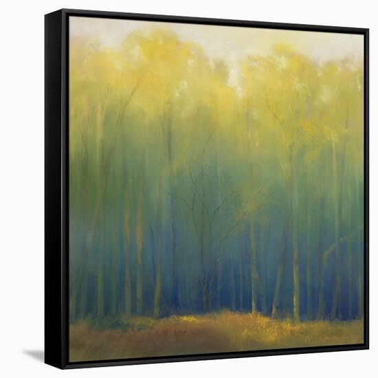 Deep Woods in Summer-Teri Jonas-Framed Stretched Canvas