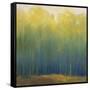 Deep Woods in Summer-Teri Jonas-Framed Stretched Canvas