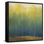 Deep Woods in Summer-Teri Jonas-Framed Stretched Canvas