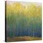 Deep Woods in Summer-Teri Jonas-Stretched Canvas