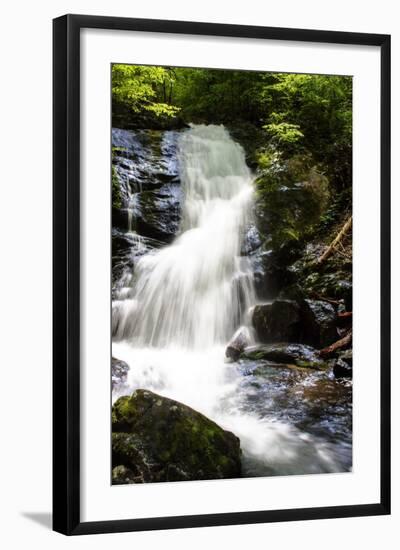 Deep Woods Waterfall I-Alan Hausenflock-Framed Photographic Print