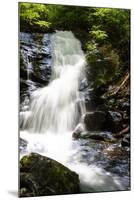 Deep Woods Waterfall I-Alan Hausenflock-Mounted Photographic Print