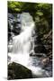 Deep Woods Waterfall I-Alan Hausenflock-Mounted Photographic Print