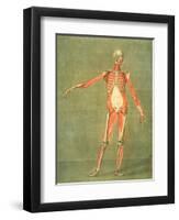 Deeper Muscular System of the Front of the Body-Arnauld Eloi Gautier D'agoty-Framed Giclee Print