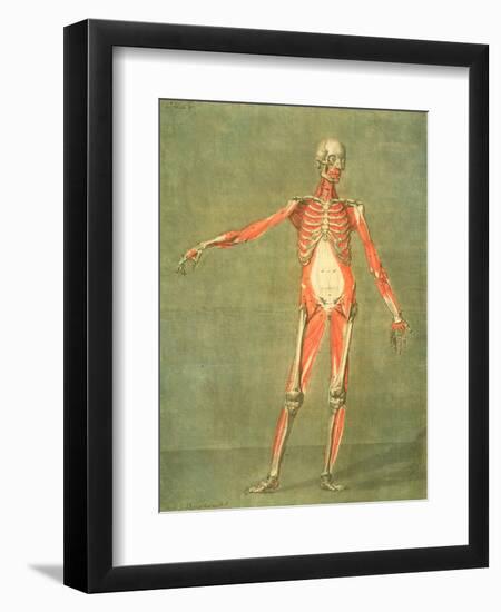 Deeper Muscular System of the Front of the Body-Arnauld Eloi Gautier D'agoty-Framed Giclee Print