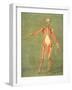 Deeper Muscular System of the Front of the Body-Arnauld Eloi Gautier D'agoty-Framed Giclee Print