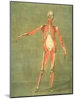 Deeper Muscular System of the Front of the Body-Arnauld Eloi Gautier D'agoty-Mounted Giclee Print