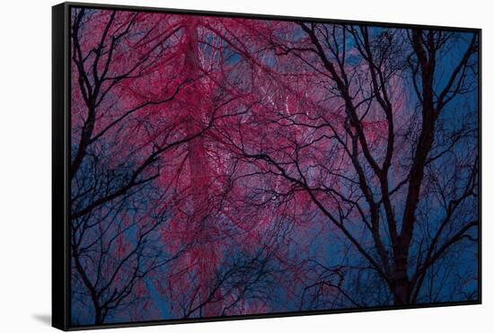 Deepest Doubts-Doug Chinnery-Framed Stretched Canvas