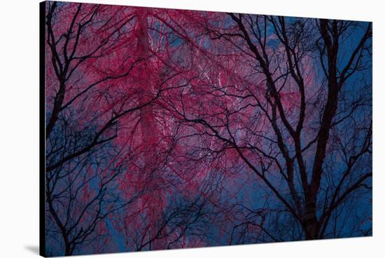 Deepest Doubts-Doug Chinnery-Stretched Canvas