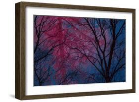 Deepest Doubts-Doug Chinnery-Framed Giclee Print