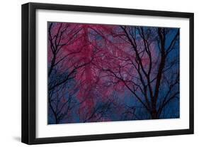 Deepest Doubts-Doug Chinnery-Framed Giclee Print