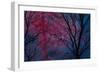 Deepest Doubts-Doug Chinnery-Framed Giclee Print