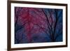 Deepest Doubts-Doug Chinnery-Framed Giclee Print