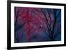 Deepest Doubts-Doug Chinnery-Framed Giclee Print