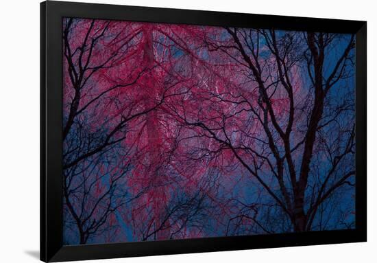 Deepest Doubts-Doug Chinnery-Framed Giclee Print