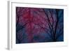 Deepest Doubts-Doug Chinnery-Framed Giclee Print