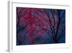 Deepest Doubts-Doug Chinnery-Framed Giclee Print