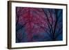 Deepest Doubts-Doug Chinnery-Framed Giclee Print