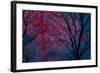 Deepest Doubts-Doug Chinnery-Framed Giclee Print