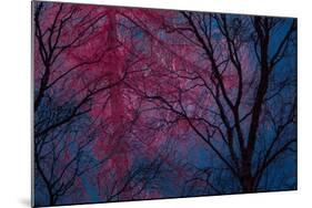 Deepest Doubts-Doug Chinnery-Mounted Giclee Print