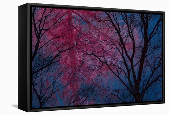 Deepest Doubts-Doug Chinnery-Framed Stretched Canvas