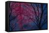 Deepest Doubts-Doug Chinnery-Framed Stretched Canvas