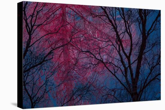 Deepest Doubts-Doug Chinnery-Stretched Canvas