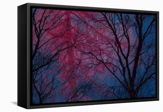 Deepest Doubts-Doug Chinnery-Framed Stretched Canvas