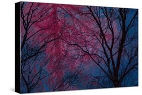 Deepest Doubts-Doug Chinnery-Stretched Canvas