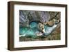 Deeply Cut into the Rock Stream of Soca, Slovenia-Stefan Sassenrath-Framed Photographic Print