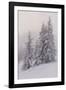 Deeply Snow-Covered Trees, Salzburg, Austria-Rainer Mirau-Framed Photographic Print