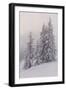 Deeply Snow-Covered Trees, Salzburg, Austria-Rainer Mirau-Framed Photographic Print