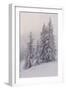 Deeply Snow-Covered Trees, Salzburg, Austria-Rainer Mirau-Framed Photographic Print