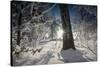 Deeply Snow-Covered Winter Scenery with Bright Sunshine, Saxony, Germany-Falk Hermann-Stretched Canvas