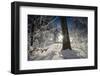 Deeply Snow-Covered Winter Scenery with Bright Sunshine, Saxony, Germany-Falk Hermann-Framed Photographic Print