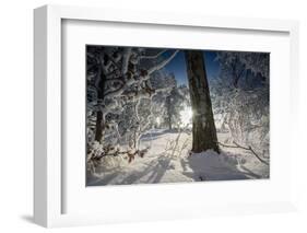 Deeply Snow-Covered Winter Scenery with Bright Sunshine, Saxony, Germany-Falk Hermann-Framed Photographic Print