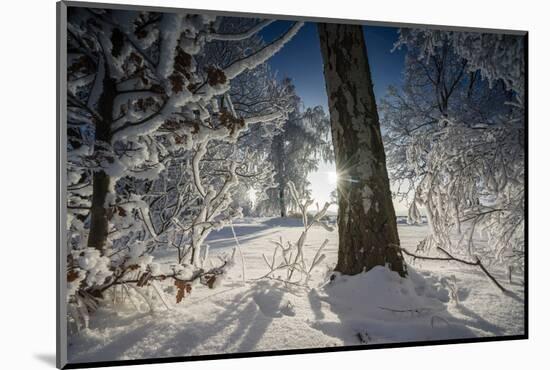 Deeply Snow-Covered Winter Scenery with Bright Sunshine, Saxony, Germany-Falk Hermann-Mounted Photographic Print