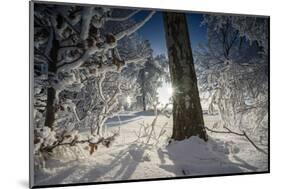 Deeply Snow-Covered Winter Scenery with Bright Sunshine, Saxony, Germany-Falk Hermann-Mounted Photographic Print