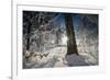 Deeply Snow-Covered Winter Scenery with Bright Sunshine, Saxony, Germany-Falk Hermann-Framed Photographic Print