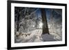 Deeply Snow-Covered Winter Scenery with Bright Sunshine, Saxony, Germany-Falk Hermann-Framed Photographic Print