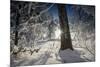 Deeply Snow-Covered Winter Scenery with Bright Sunshine, Saxony, Germany-Falk Hermann-Mounted Photographic Print