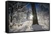 Deeply Snow-Covered Winter Scenery with Bright Sunshine, Saxony, Germany-Falk Hermann-Framed Stretched Canvas