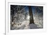 Deeply Snow-Covered Winter Scenery with Bright Sunshine, Saxony, Germany-Falk Hermann-Framed Photographic Print