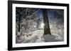 Deeply Snow-Covered Winter Scenery with Bright Sunshine, Saxony, Germany-Falk Hermann-Framed Photographic Print